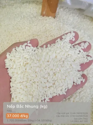 Nếp Bắc Nhung