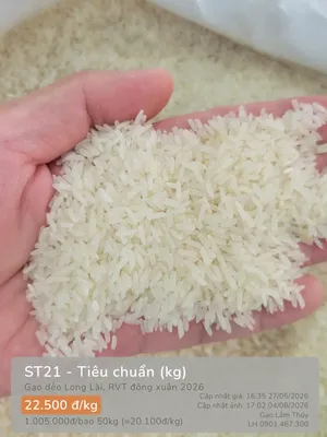 ST21 - Tiêu chuẩn