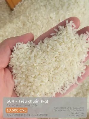 504 - Tiêu chuẩn
