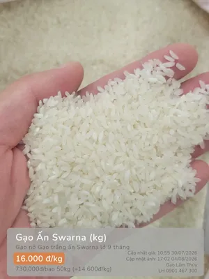 Gạo Ấn Swarna