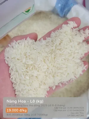 Nàng Hoa - Lở