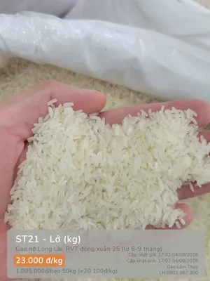 ST21 - Lở