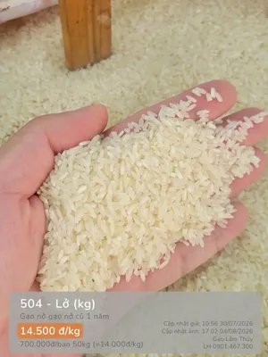 504 - Lở
