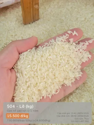 504 - Lở