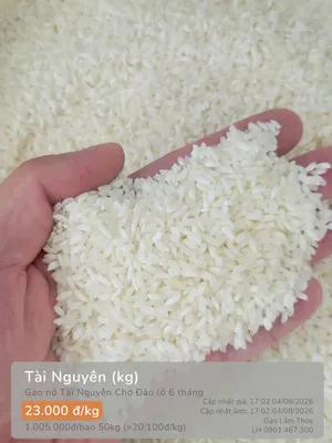 Tài Nguyên