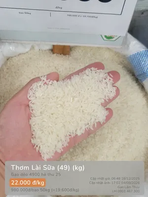 Thơm Lài Sữa (49)