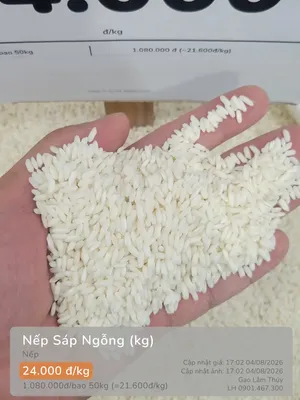Nếp Sáp Ngỗng