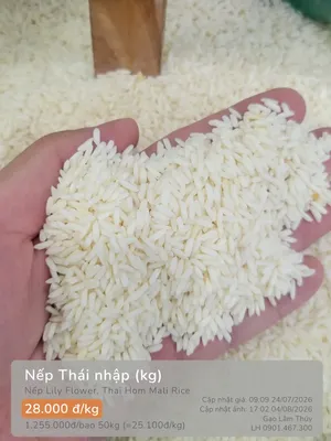 Nếp Thái nhập